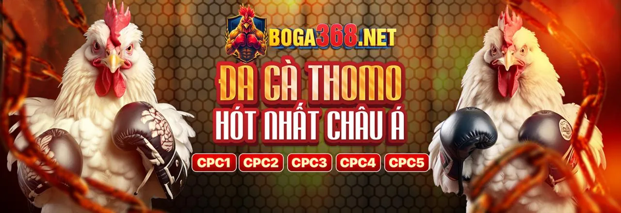 Hình ảnh hỗ trợ khách hàng F1686 Đá Gà